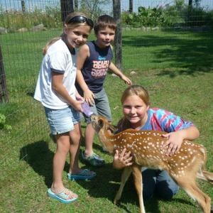 Meet your Posher, Connie